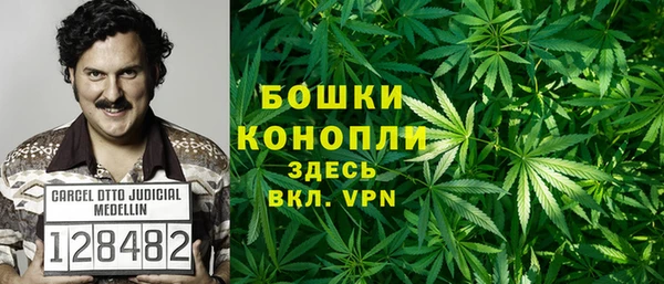 Альфа ПВП Ельня