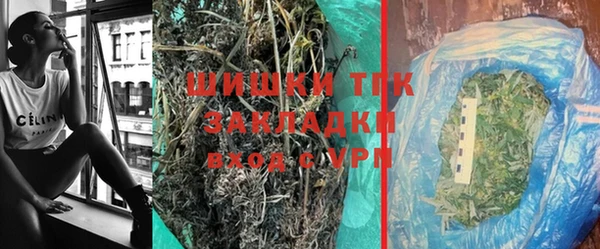 Альфа ПВП Ельня