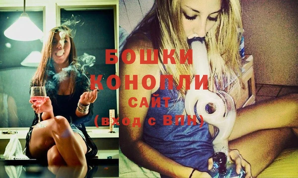 Альфа ПВП Ельня